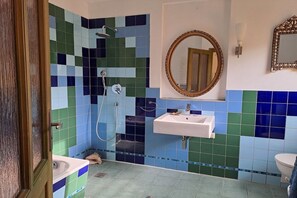 Et badeværelse med bruser, håndvask og toilet.