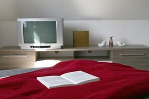 Ein Schlafzimmer mit einem Bett, einem Fernseher auf einem Schrank, einem Bücherregal und einer Vase mit Blumen.