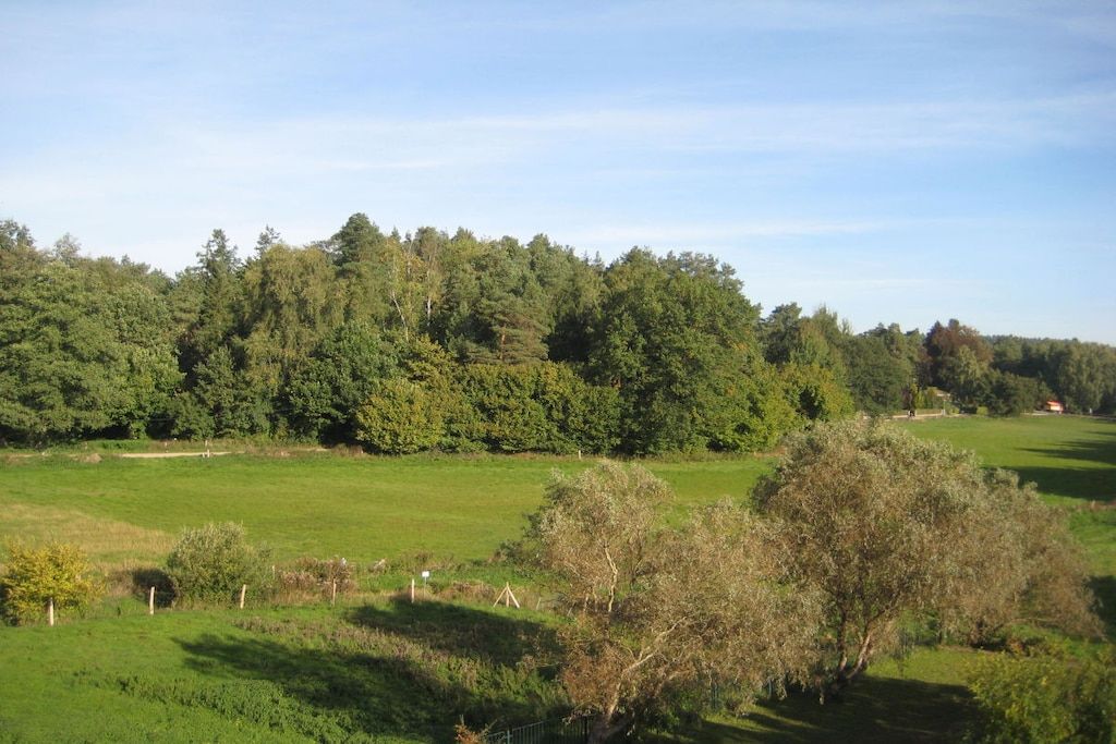 A rural landscape with a dense forest in the background and open fields in the foreground.