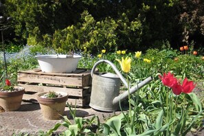 A garden with potted plants, a watering can, and tulips. - Country House Lake District 2 (Lychen)
