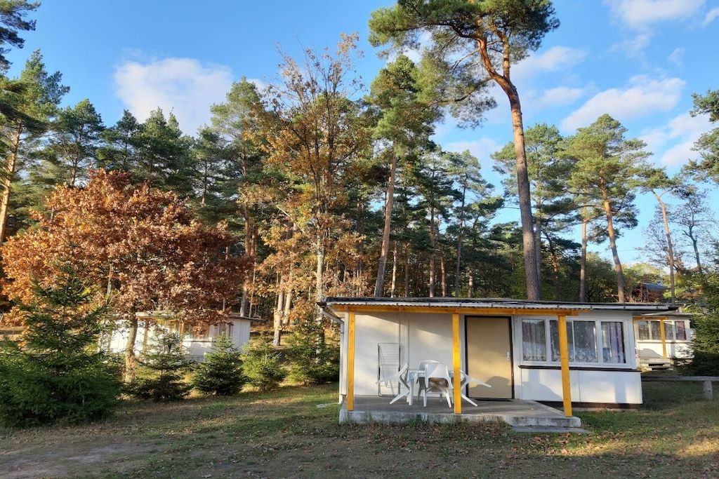 Una petita cabana amb un porxo i dues cadires, envoltada d'arbres i un cel serè.