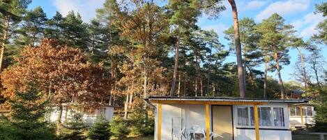 Een klein huisje met een veranda en twee stoelen, omringd door bomen en een heldere lucht.