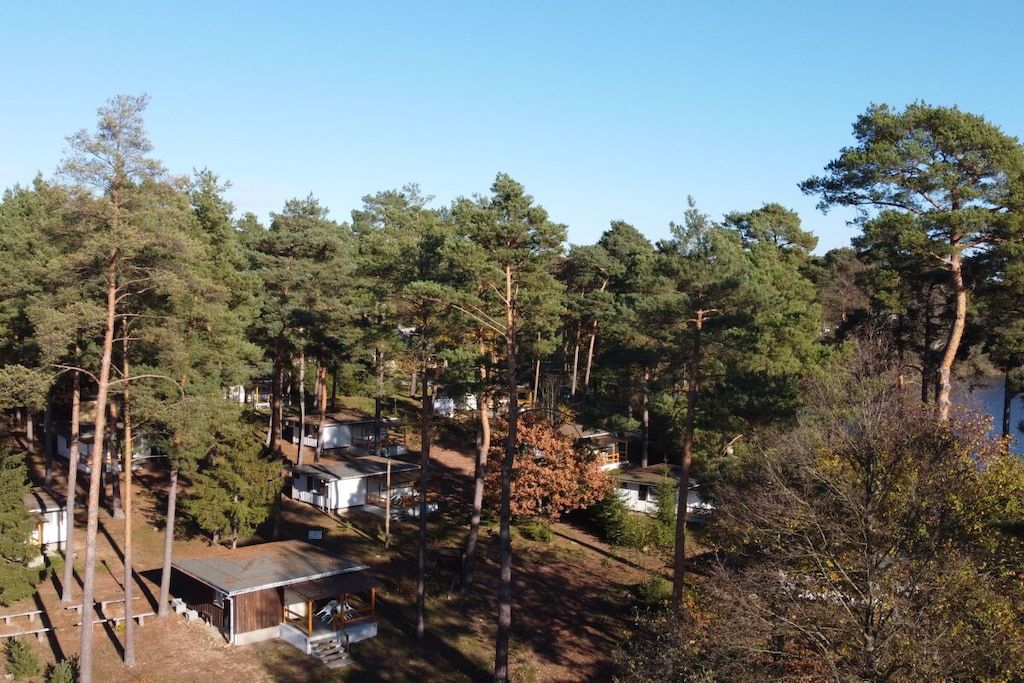 A forested area with cabins and a small building, likely a lodge or retreat.