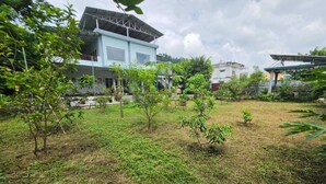 A residential area with a two-story house, a small garden with various plants, and a clear sky.
