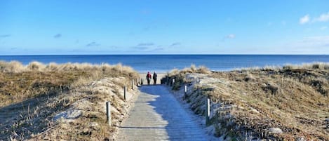 Un sendero de hormigón que conduce a la playa, con dunas a cada lado.