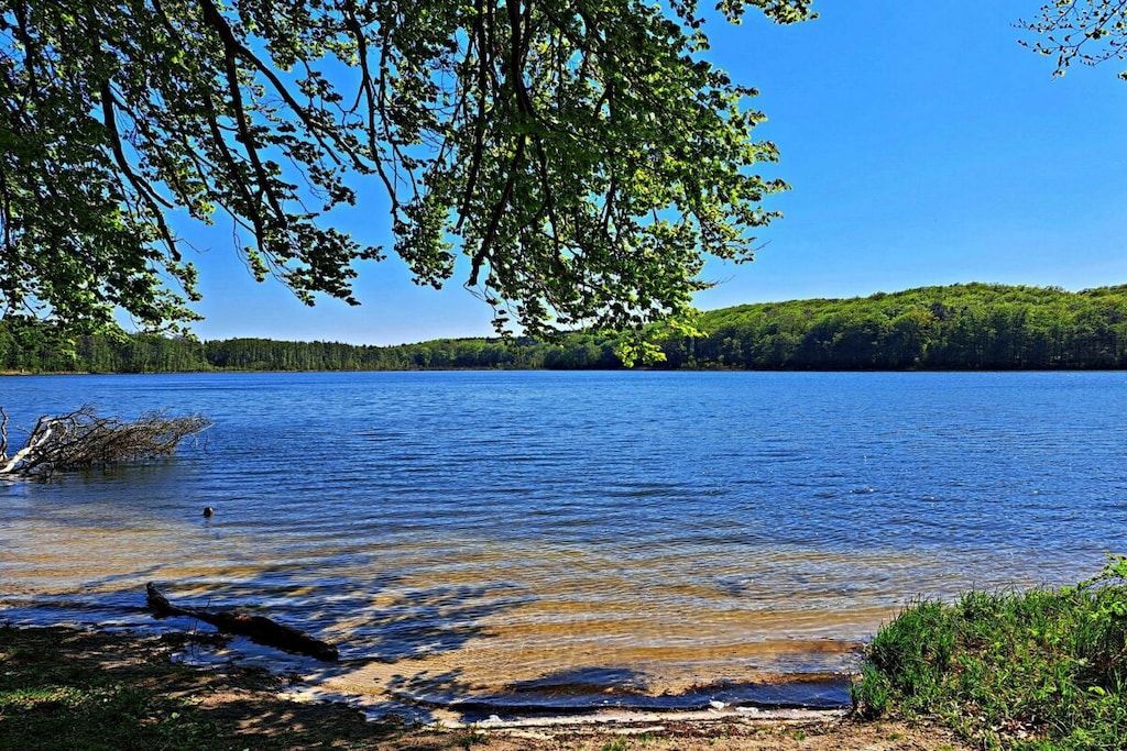 A lake with clear water, surrounded by greenery and trees.