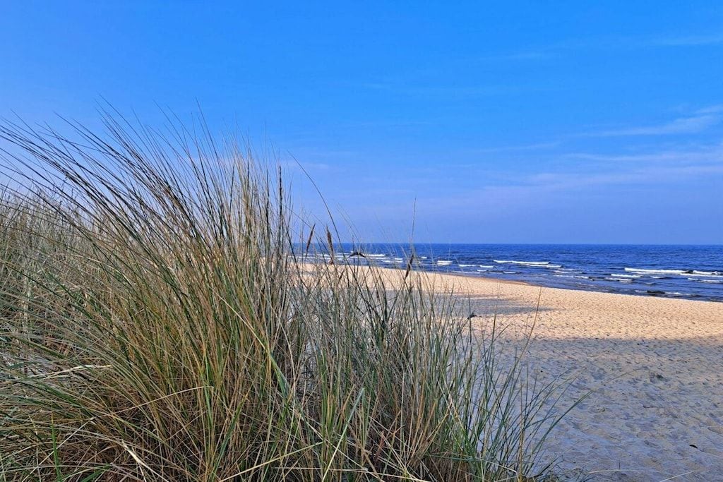 Una spiaggia con sabbia ed erba in primo piano, che si apre sull'oceano.