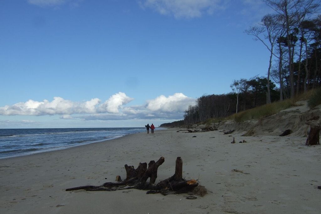 A beach with a sandy shore, a few people walking, and trees in the background.
