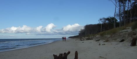 A beach with a sandy shore, a few people walking, and trees in the background.