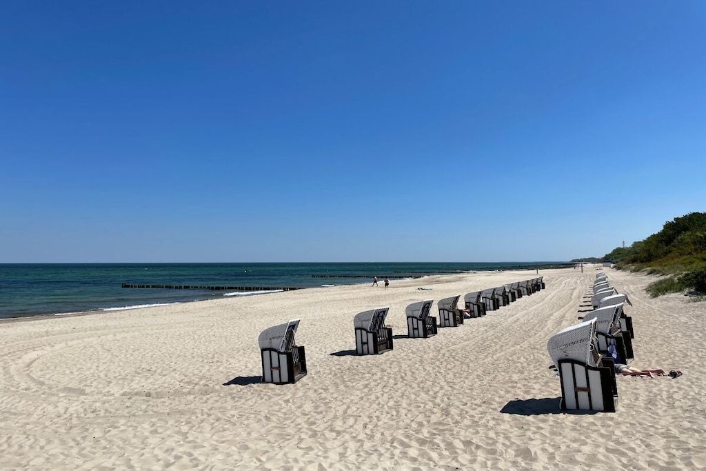 A beach with rows of beach chairs and umbrellas, a clear sky, and the ocean in the background.