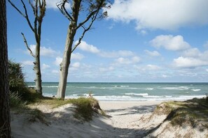 A beach scene with clear skies, sandy terrain, and trees. - Holiday home with 1 bedroom (Fuhlendorf)