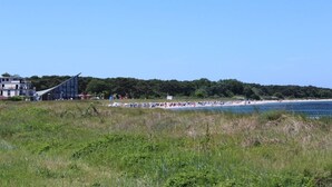 海灘