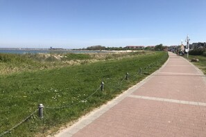 A paved walkway alongside a grassy area with a body of water in the background.