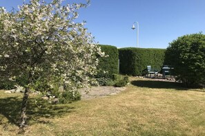 A well-maintained garden with a variety of trees, a neatly trimmed hedge, and a paved area with outdoor furniture.
