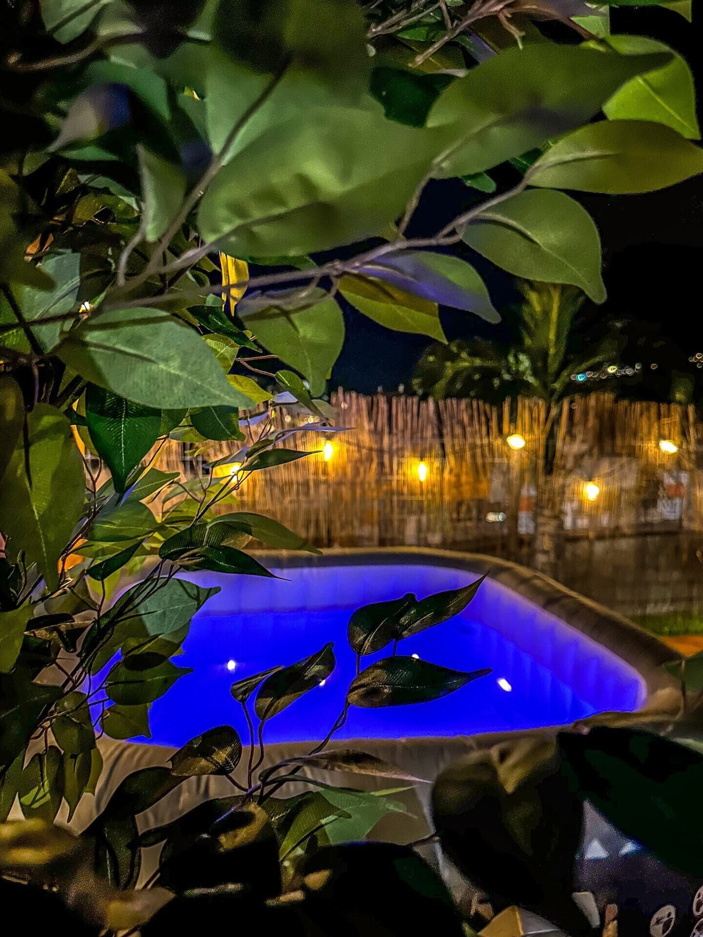 A nighttime view of a swimming pool surrounded by foliage and a bamboo fence.
