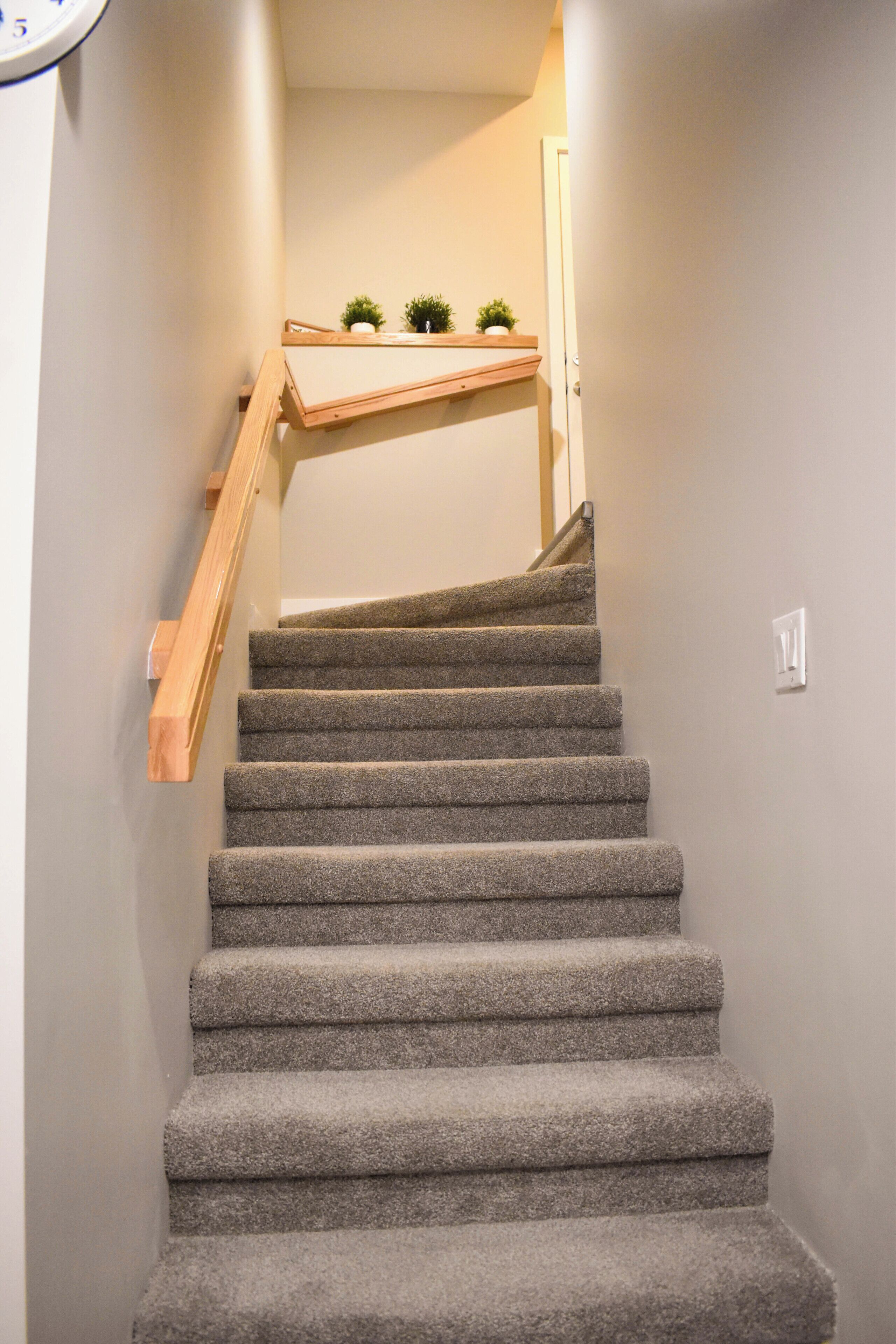 Una escalera con peldaños alfombrados y barandillas de madera que conduce a un rellano con un estante que sostiene pequeñas plantas.