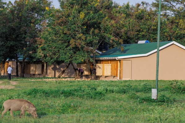 Un edificio con techo verde, rodeado de árboles y césped.