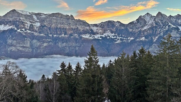 A mountain range with snow-covered peaks and a forested foreground. - Apartmenthaus Gauenpark (CharmingStay), (Flumserberg Tannenheim), by Interhome (Flumserberg Tannenheim)