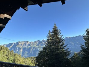 Blick auf ein Gebirge mit blauem Himmel, ein markanter Nadelbaum und ein Gebäudebau im Vordergrund.