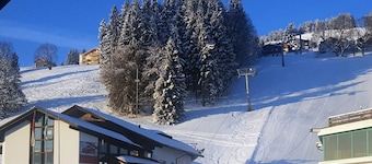 Haus Panorama Hak (CharmingStay), (Flumserberg Tannenheim), by Interhome