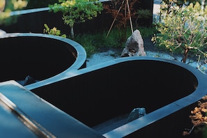 Spazio esterno moderno con elementi acquatici curvi e una roccia al centro.