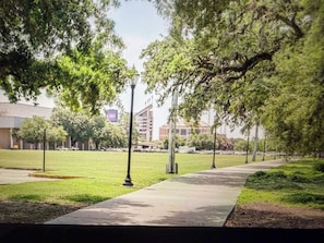 A pathway lined with trees and a building with a sign in the background. - Tiger Condo at LSU!  Walk to Tiger Stadium & PMAC! (Baton Rouge)
