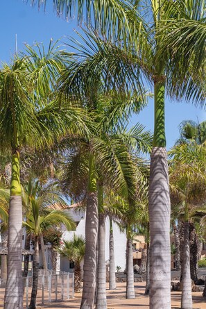 Jardines del alojamiento