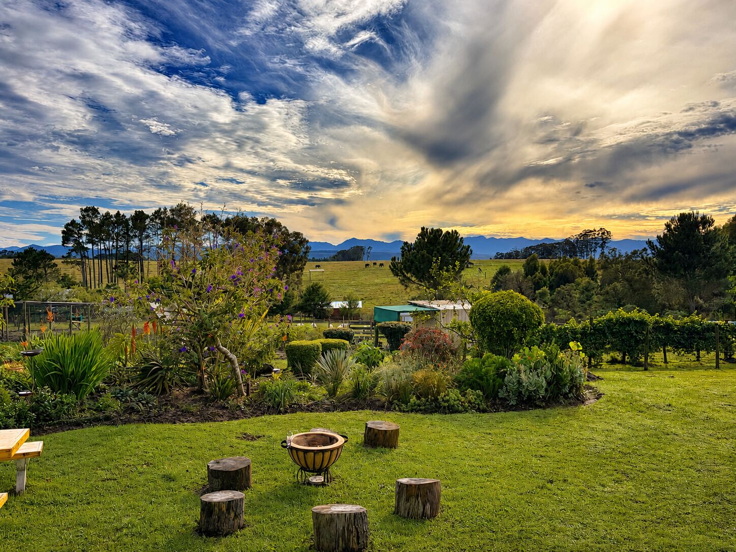 A grassy outdoor area with a wooden table and benches, surrounded by trees and a view of distant mountains.