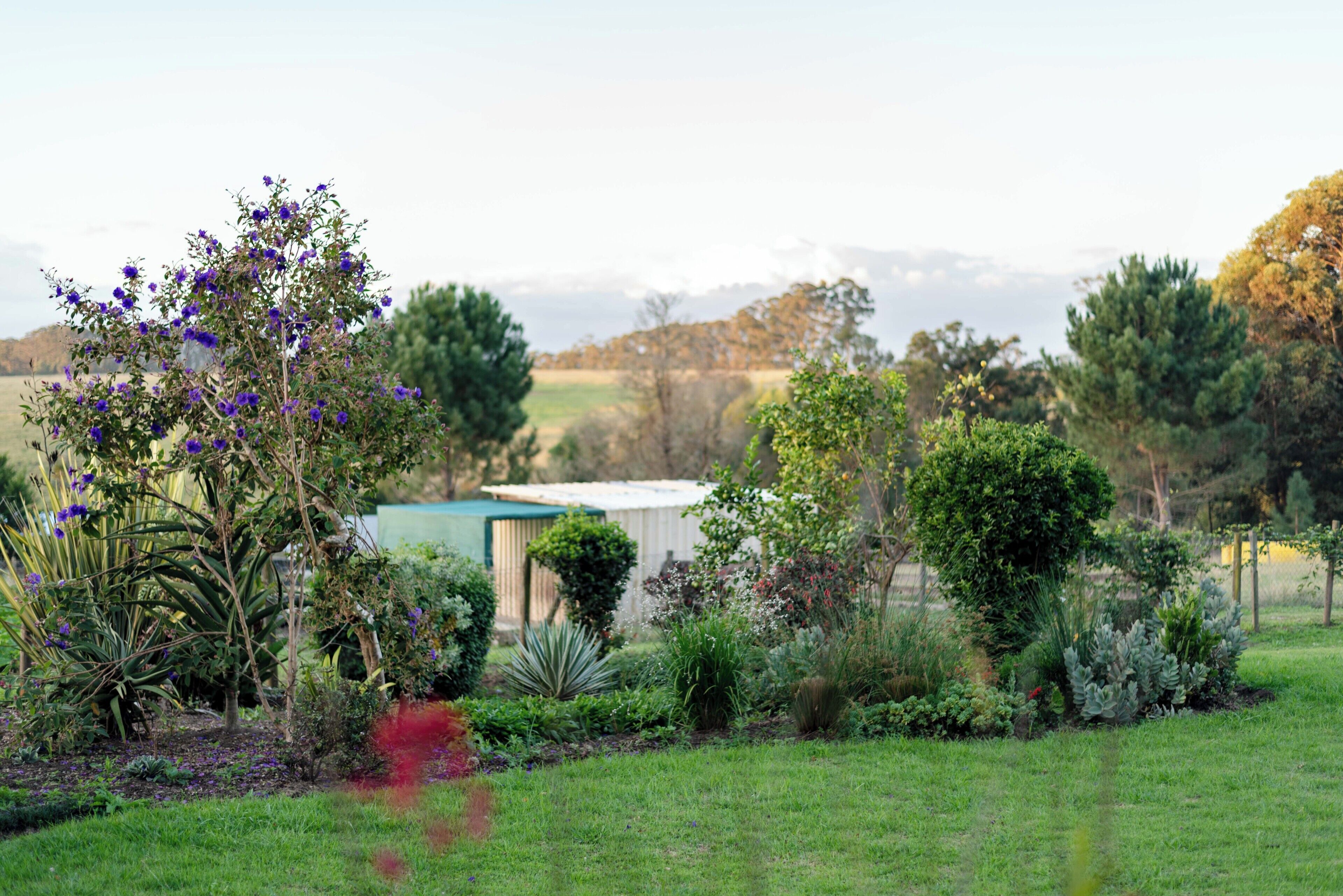 Un jardin avec différentes espèces de plantes et une petite construction.