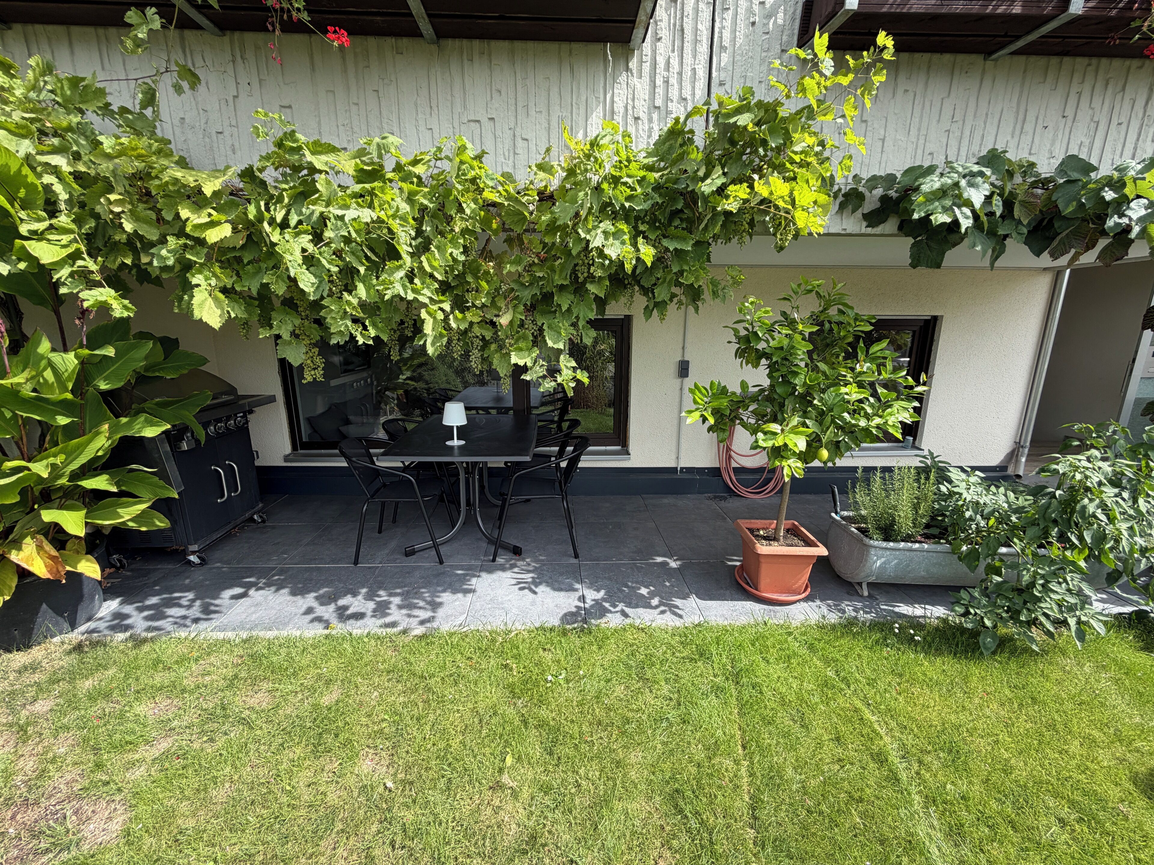An outdoor patio with a table and chairs, surrounded by greenery and a white wall.