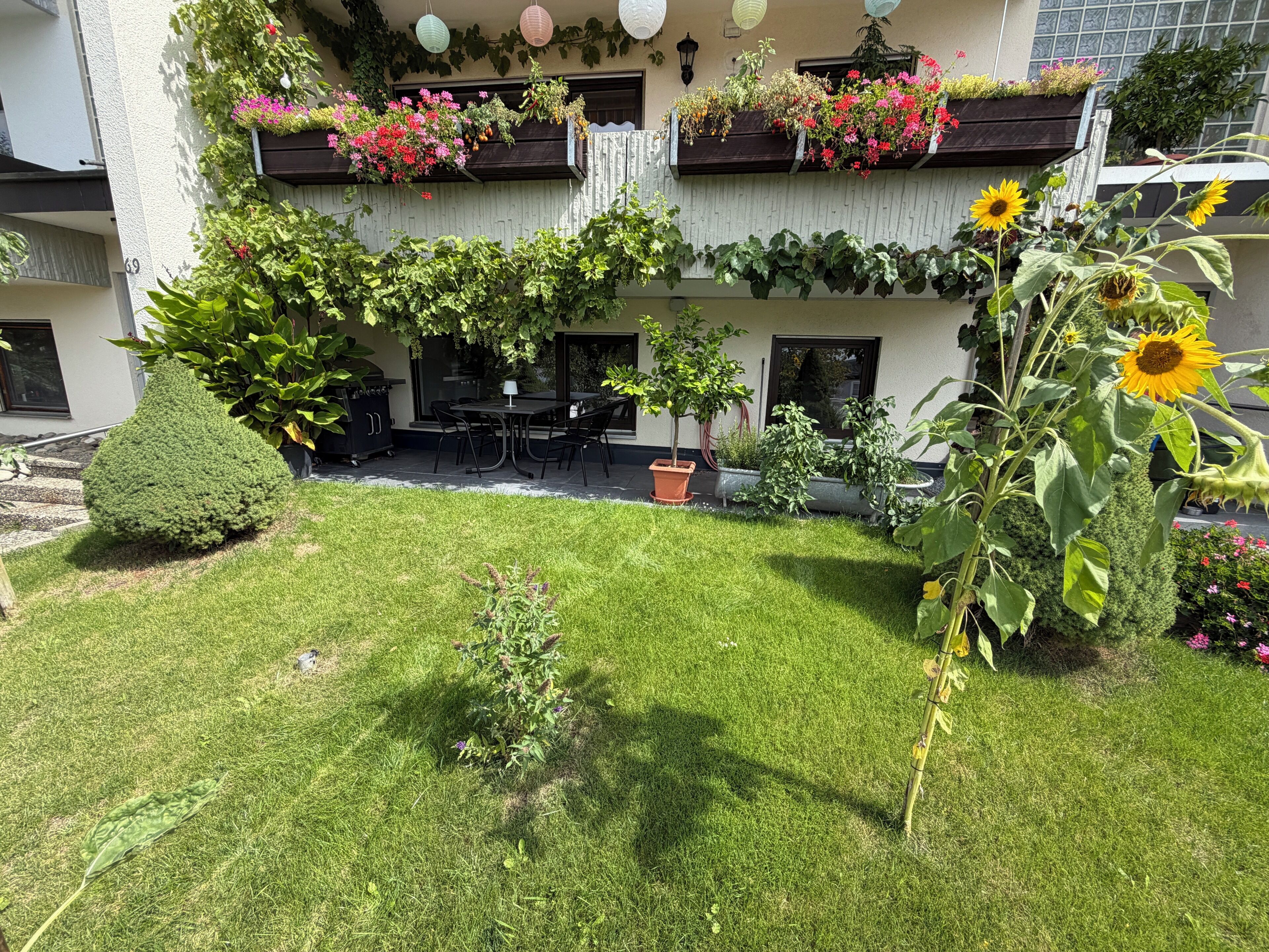Un patio con zona de comedor, plantas en macetas y césped bien cuidado.