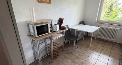 Close to the City & Quiet with a Terrace: Wöschhalde Villingen