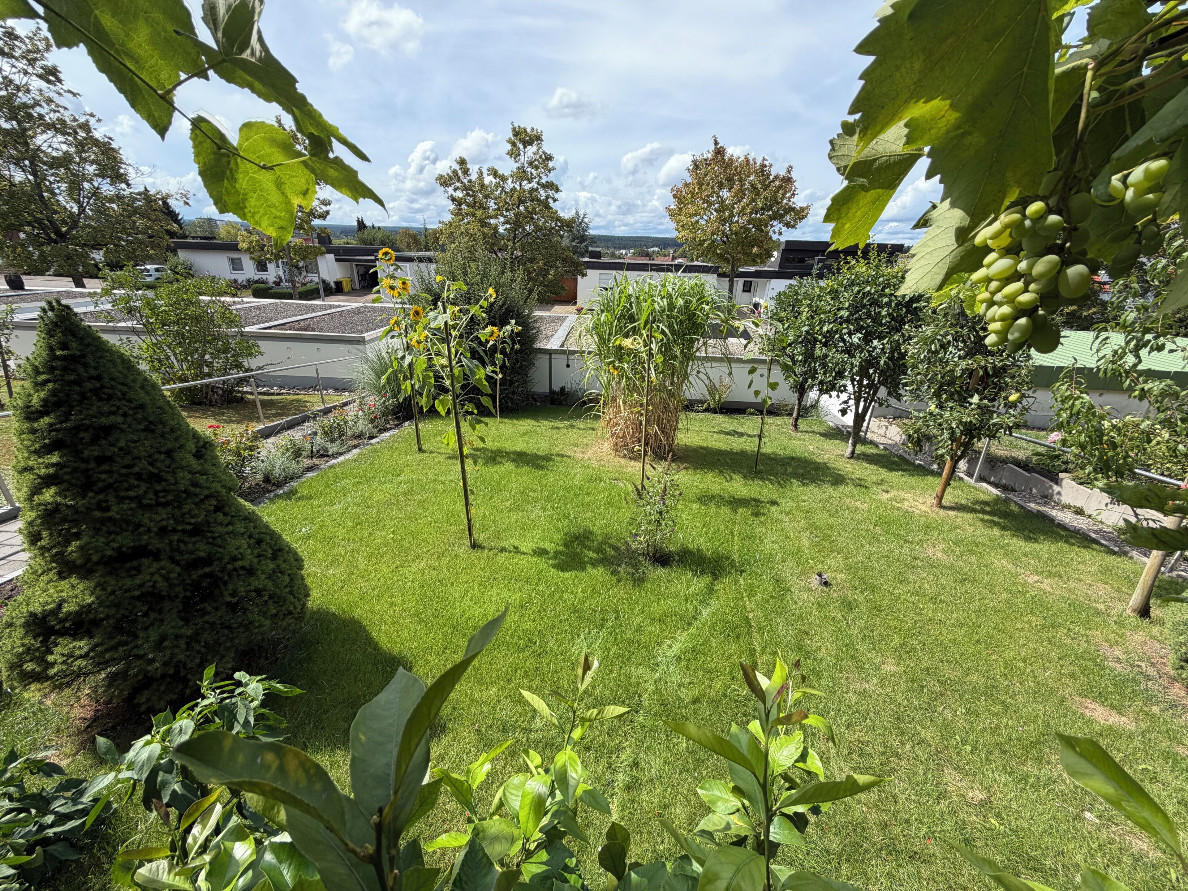 Ein gepflegter Garten mit vielfältigen Pflanzen und Bäumen, einem ordentlich gestutzten Rasen und freiem Blick auf die umliegenden Gebäude.