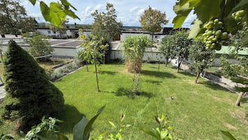 Ein gepflegter Garten mit vielfältigen Pflanzen und Bäumen, einem ordentlich gestutzten Rasen und freiem Blick auf die umliegenden Gebäude.
