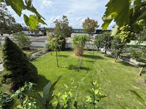 A well-maintained garden with a variety of plants and trees, a neatly trimmed lawn, and a clear view of the surrounding buildings.