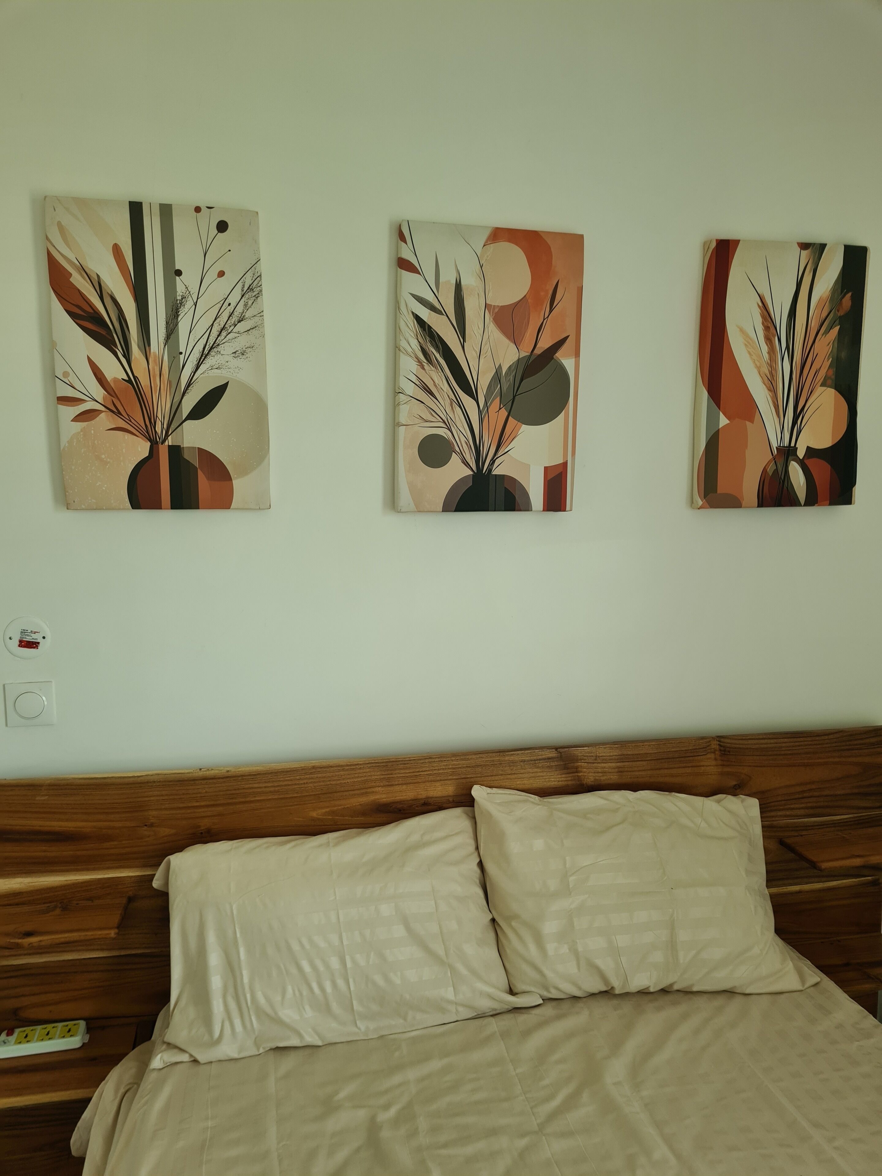 A bed with a wooden headboard, two pillows, and three abstract paintings on the wall.