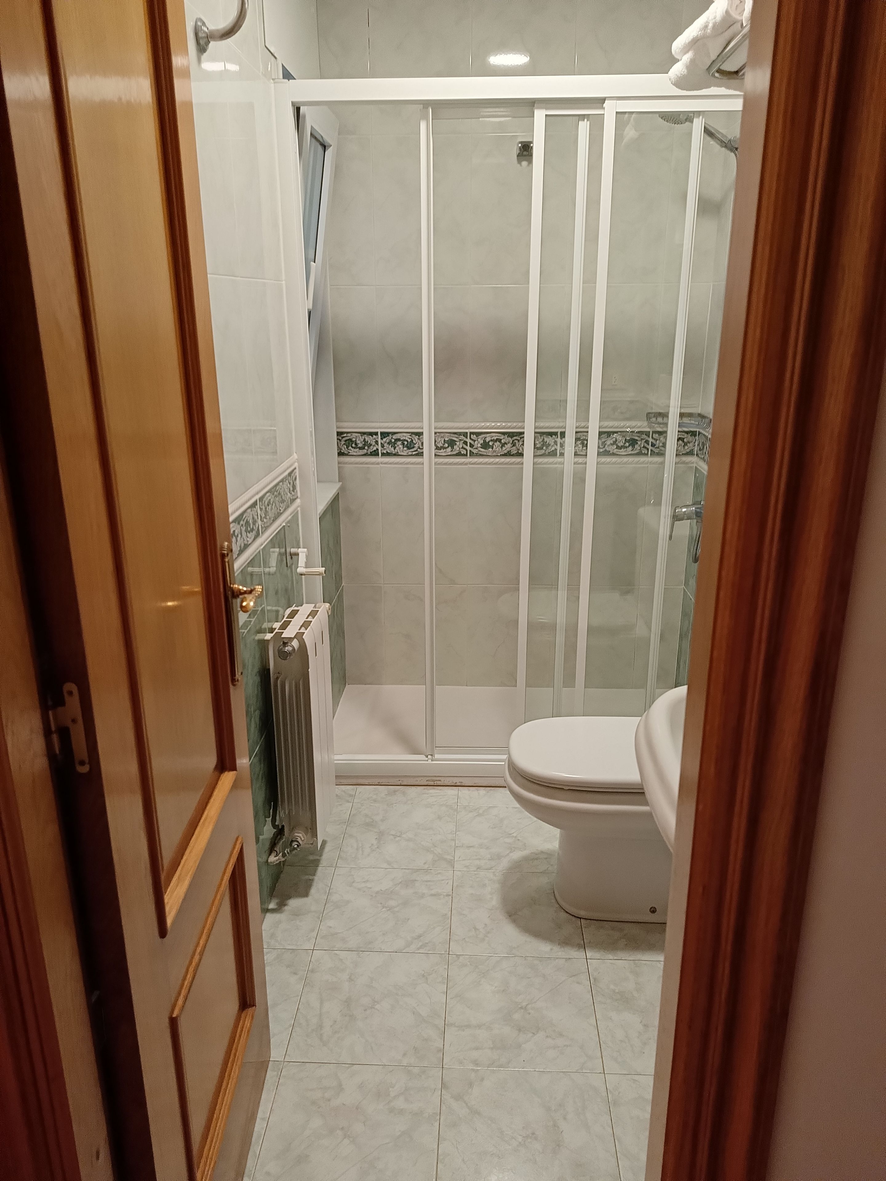 Une salle de bain avec une douche, des toilettes et un radiateur.