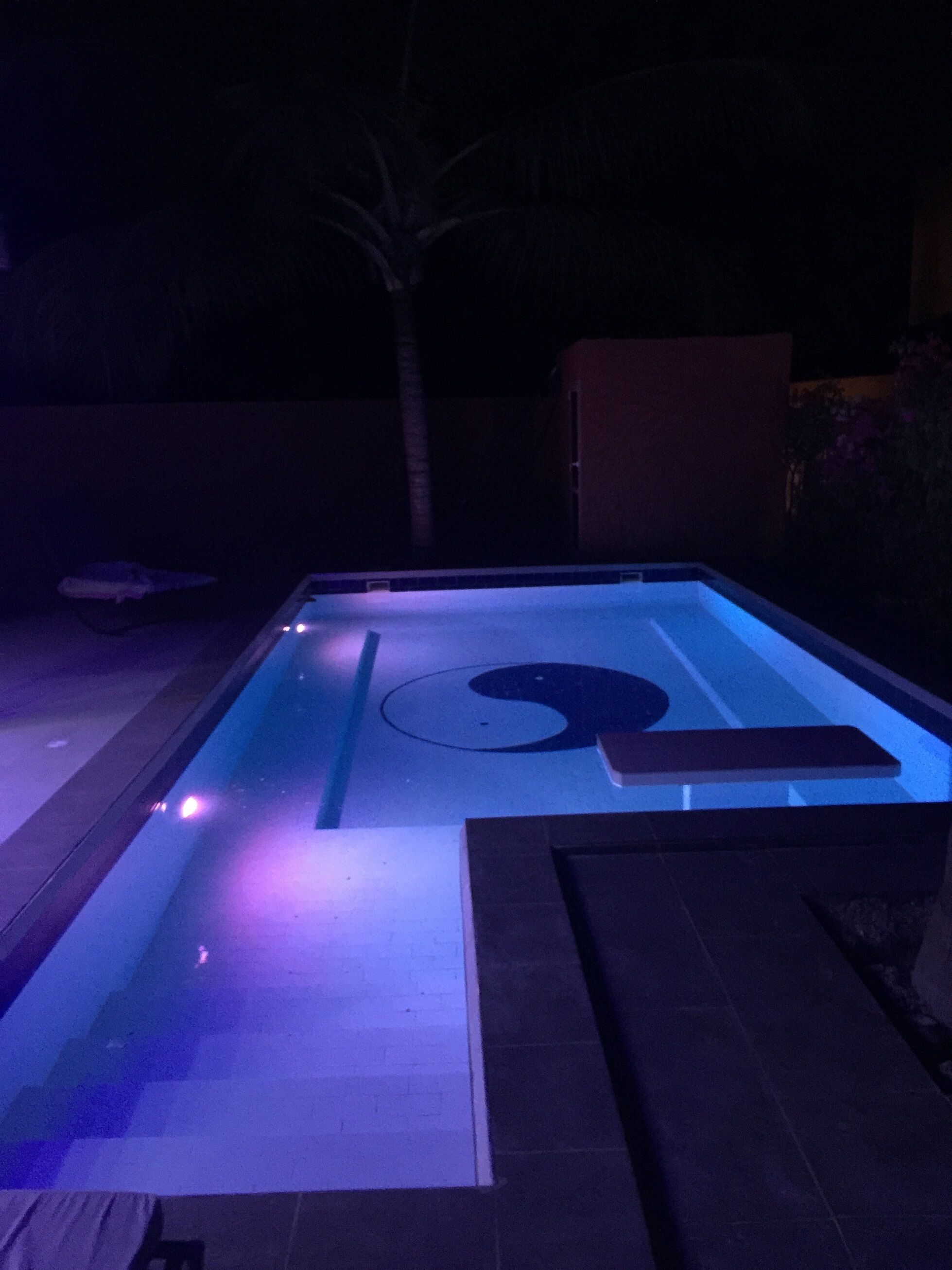 A swimming pool with a geometric design on the floor, surrounded by dark tiles and a low wall.