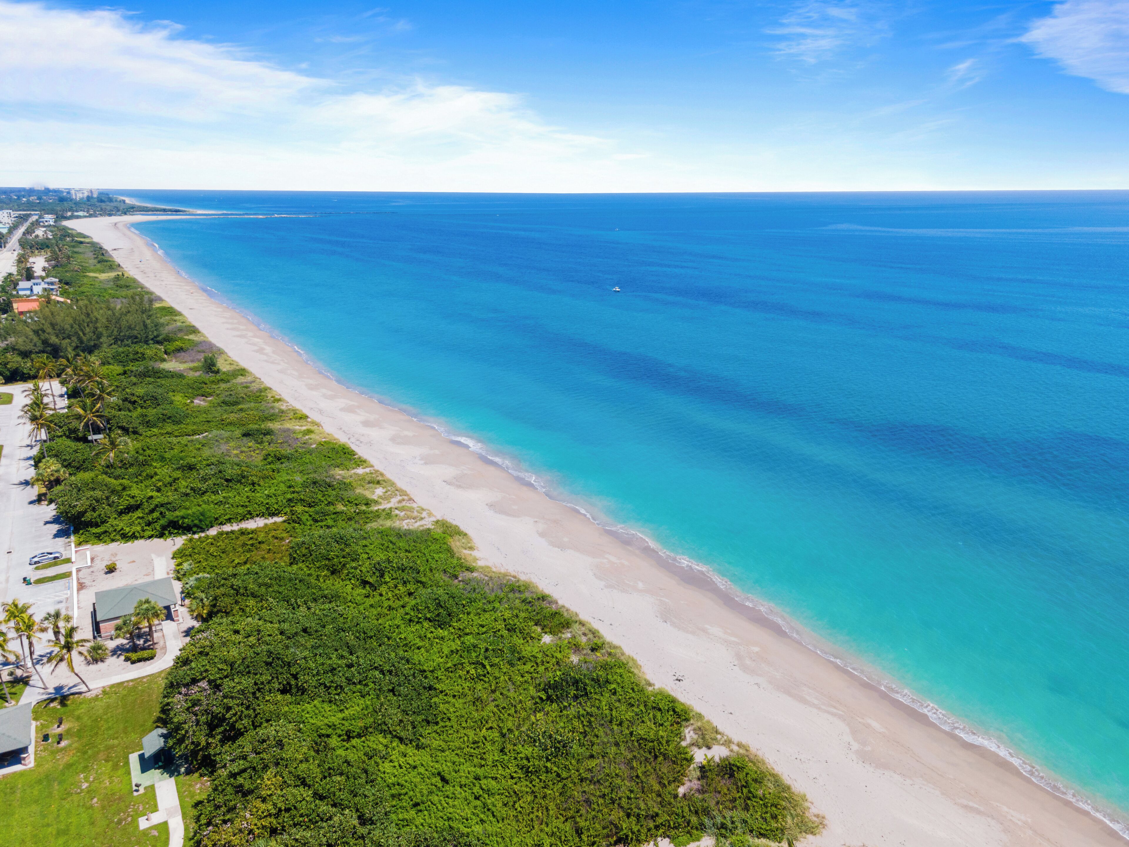 A coastal landscape with a beach, greenery, and a clear sky.