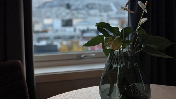 Ein Zimmer mit einem Tisch, einer Tasse und einer Pflanze in einer Vase. Ein Fenster bietet Blick auf eine verschneite Landschaft.