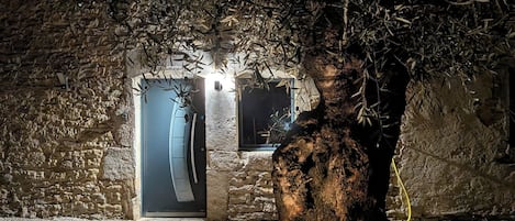 A potted olive tree in front of a stone building with a door and windows.