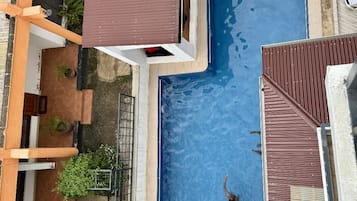 A rooftop swimming pool with two people swimming, surrounded by buildings with balconies and potted plants.