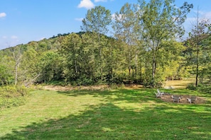 A grassy outdoor area with trees and a clear sky.