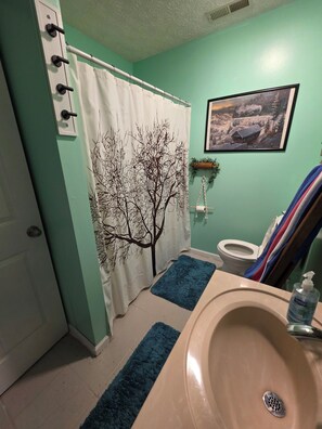 Unclassified image, 3 of 14, button - Relax in the tranquil hills of Greenbrier county in our charming 1 br rental (Lewisburg)