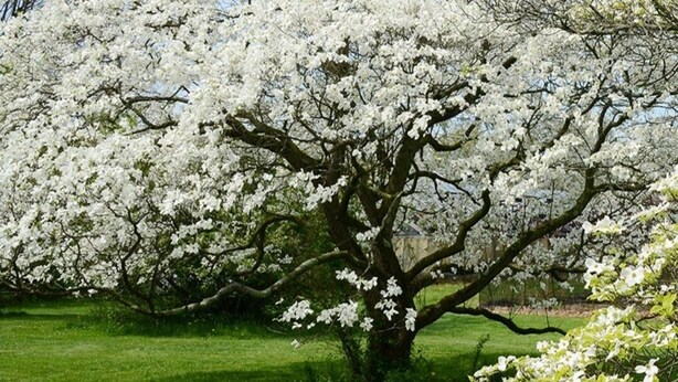 Oklassificerad bild, 1 av 14, knapp