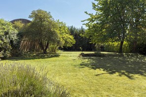 Un espace extérieur verdoyant, avec des arbres et une structure en bois.
