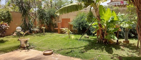A well-maintained garden with a variety of plants, a concrete pathway, and a small water feature.