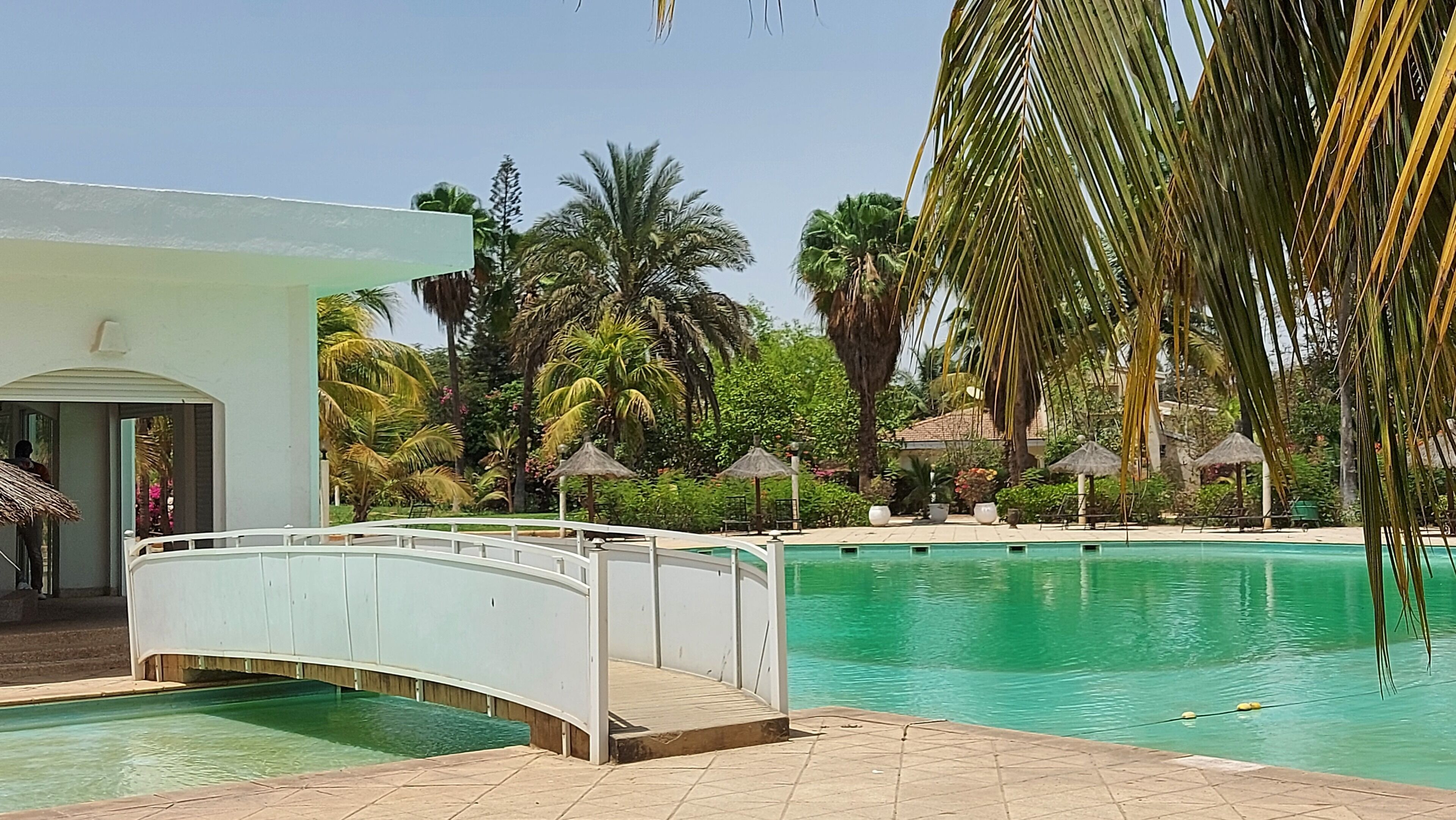 Una piscina con bordo bianco, circondata da palme e un edificio con tetto di paglia.