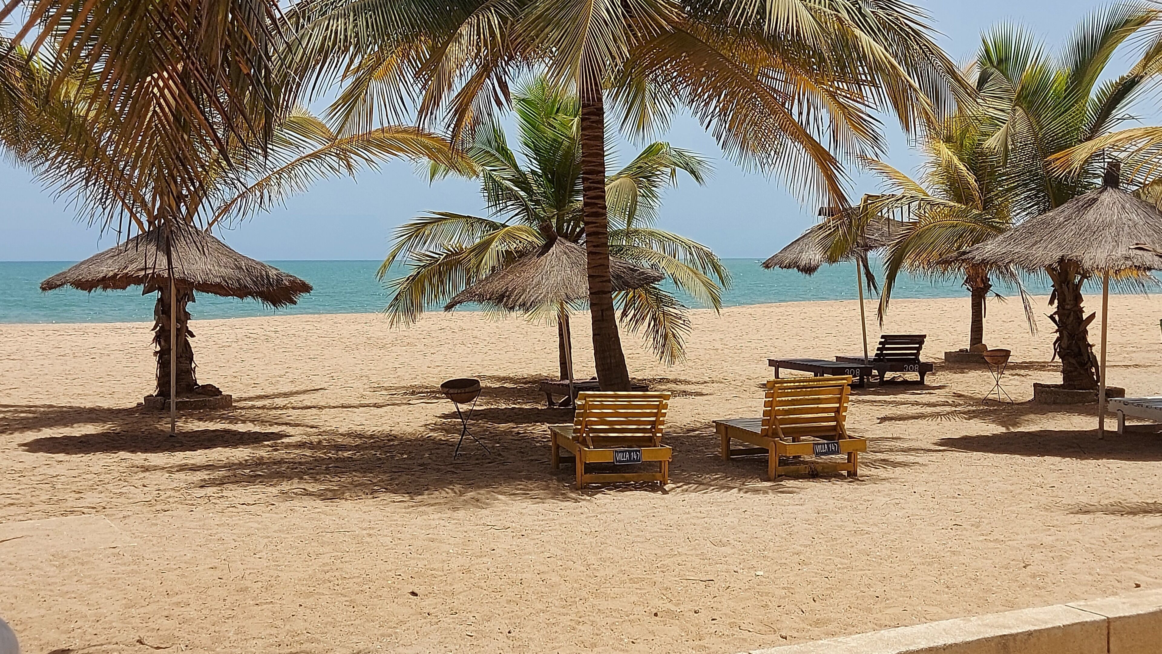 A beach with palm trees, beach chairs, and umbrellas.