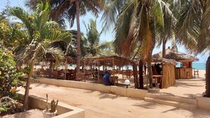 Un restaurant situé en bord de mer, avec une terrasse, des palmiers et un petit abri à toit de chaume.